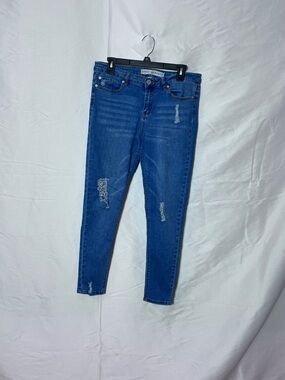 Mason Women's Skinny Distressed Blue Jeans